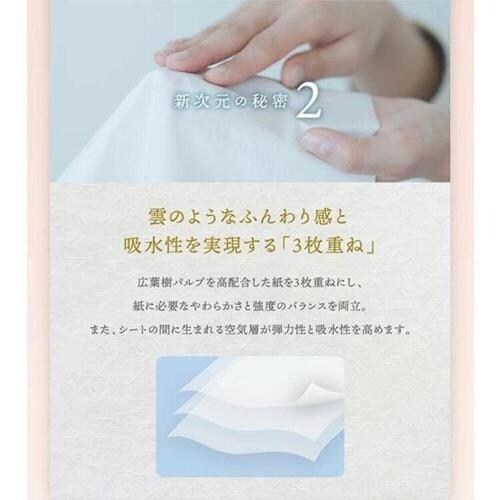 �y10�Z�b�g�z�V�ێ��e�B�V���@���_BOX�e�B�V��130�g(3���d��) 221086 _4