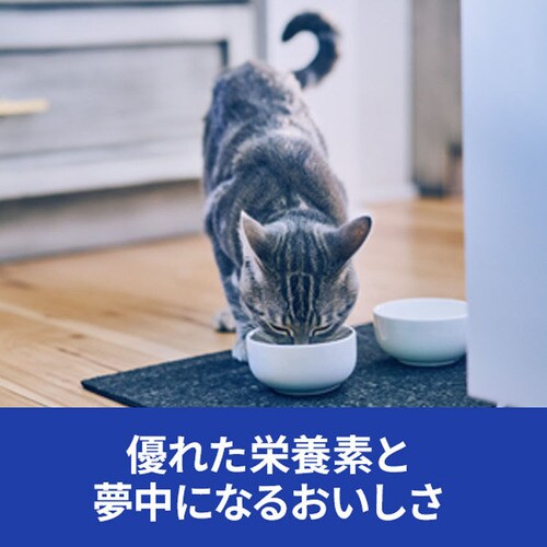 ヒルズ 【猫用】c/d マルチケアコンフォート フィッシュ&野菜入り
