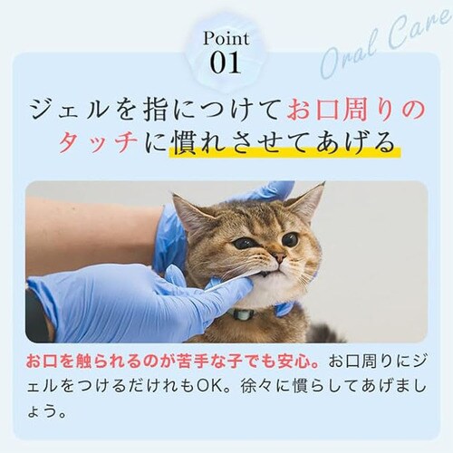 MISHONE ミシュワン Total Care Nyan 30g _4