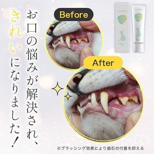 MISHONE ミシュワン Total Care Nyan 30g 7273897│アイリスオーヤマ