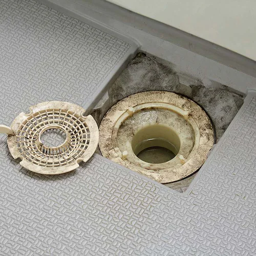 ターナー 排水管洗浄剤 バイオ 1.8L 54019800 【プラザセレクト】_4