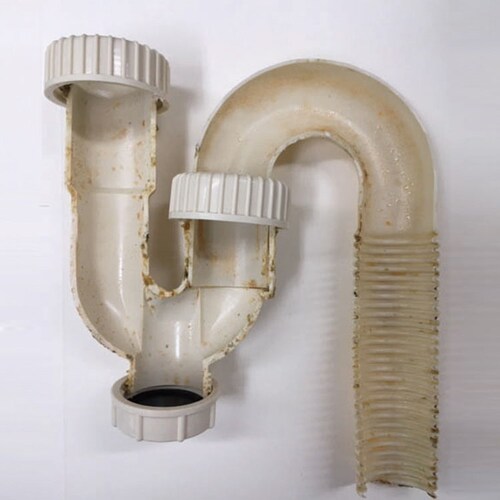 ターナー 排水管洗浄剤 バイオ 1.8L 54019800 【プラザセレクト】_8