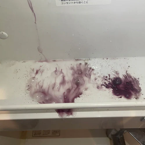 速効サビ取り 500ml 54020800 【プラザセレクト】_12