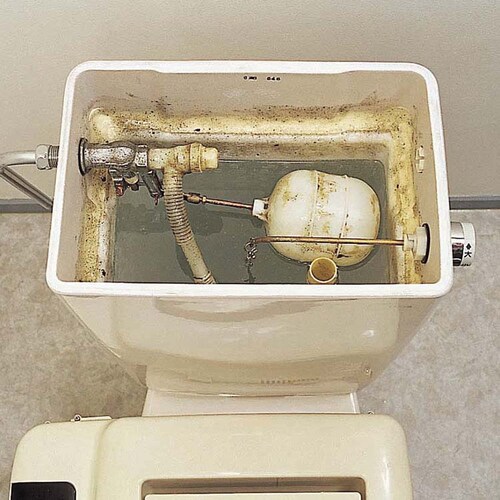 �����g�C���^���N����EX 4�� 54026700 �y�v���U�Z���N�g�z_5