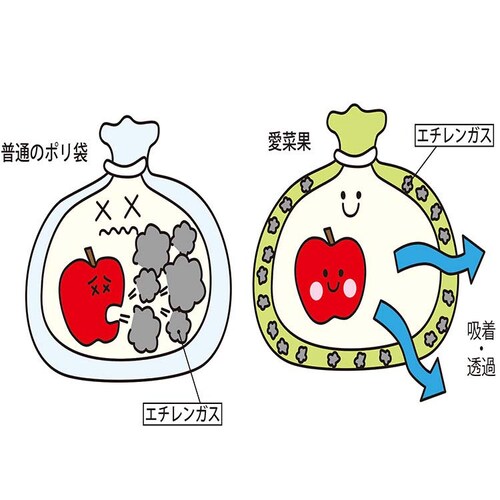 ���؉� 18�����iS5�� M8�� L5���j�~2P 66001300 �y�v���U�Z���N�g�z_11