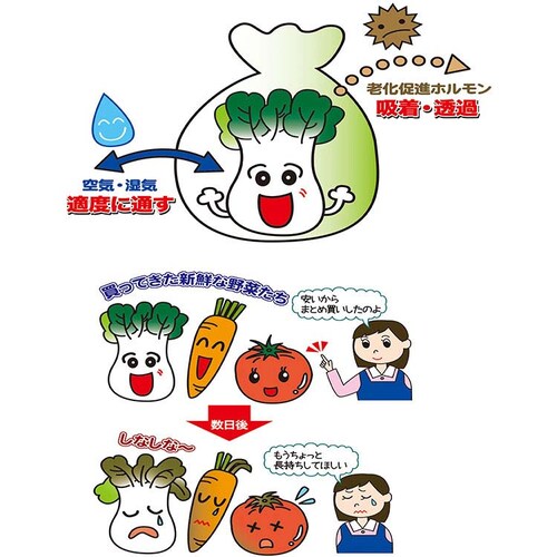 �y2�Z�b�g�z���؉� 18�����iS5�� M8�� L5���j�~2P 66001300 �y�v���U�Z���N�g�z_10