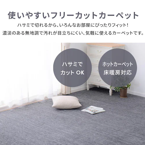 ペットにやさしい平織カーペット ラウム 本間4.5畳 600200145 ベージュ【時間指定不可】【プラザセレクト】_7