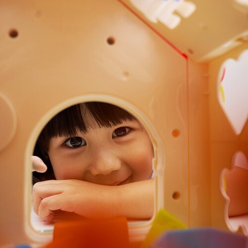 DADWAY ���N���N�肠���уn�E�X �~���[�W�b�N�E�f���b�N�X TYHOL739 _8