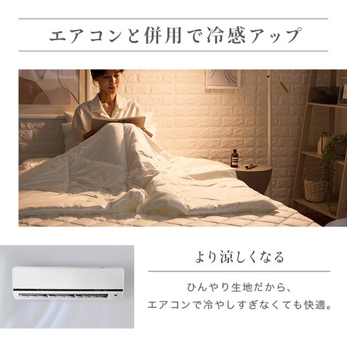 シルクタッチケット S シャンパン【プラザセレクト】_8