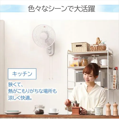 壁掛け扇風機 IR-WF33M TEKNOS_10