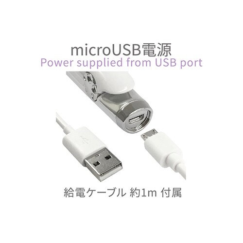 Kashimura �����E�C�O�g�p USB���d�� �~�j�w�A�A�C���� �X�g���[�g �ϔM�|�[�`�t�� �z���C�g TD-22 �y�O�����s�z�y������s�z�y�����s�z_6