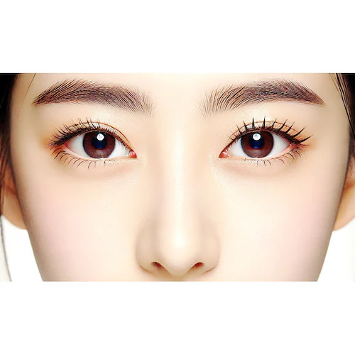 ���[���X�^�[ �܂уJ�[���[���|�C���g�G�X�e USB�[�d�� �x�|�W�� ER-824EX �y������s�z_7