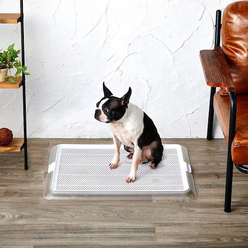 �{���r�A���R�� �y�b�g���[ �N���A���b�V�� M _2