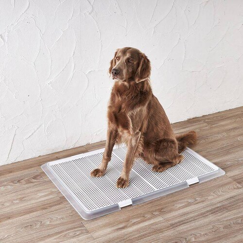 �{���r�A���R�� �y�b�g���[ �N���A���b�V�� XL _2