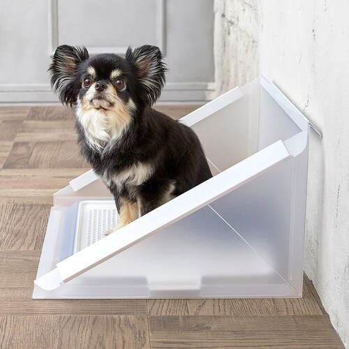 �{���r�A���R�� �v���X�N���[�� S�T�C�Y  ���g�C�� �y�b�g�g�C��_5