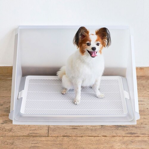 �{���r�A���R�� �v���X�N���[�� M�T�C�Y   ���g�C�� �y�b�g�g�C��_4