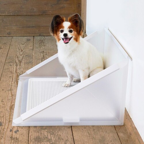 �{���r�A���R�� �v���X�N���[�� M�T�C�Y   ���g�C�� �y�b�g�g�C��_6