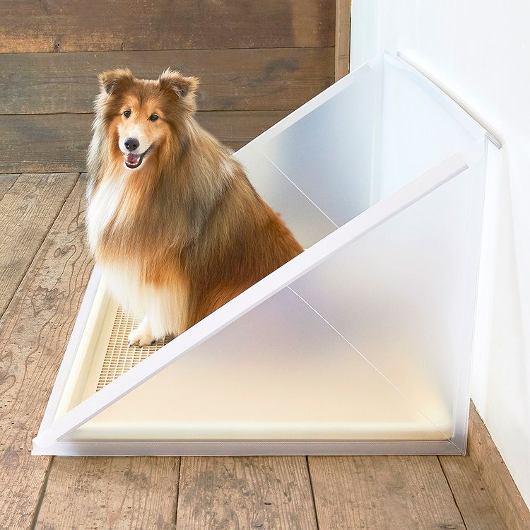 ボンビアルコン プラスクリーン XLサイズ 犬トイレ ペットトイレ
