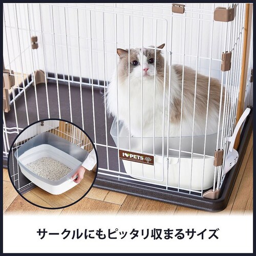 �{���r�A���R�� ������g�C�� �N���A�L���b�gS  �L�g�C�� _6