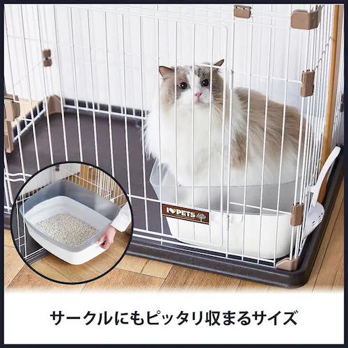 �{���r�A���R�� ������g�C�� �N���A�L���b�gM   �L�g�C�� _6