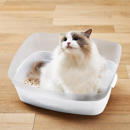 �{���r�A���R�� ������g�C�� �N���A�L���b�gM   �L�g�C�� _10