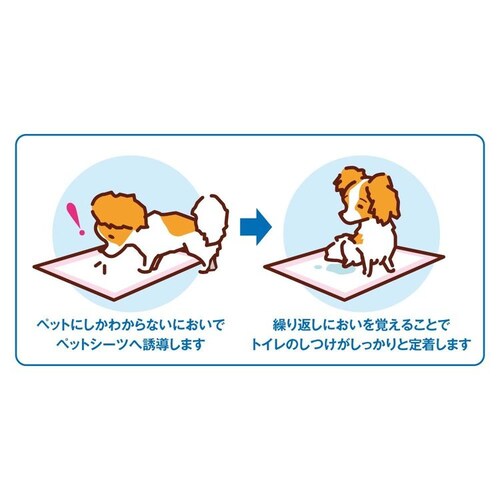 �{���r�A���R�� ������V�[�c�c���pneo���M�����[�T�C�Y 40�� �y�b�g�V�[�c ���V�[�c_4