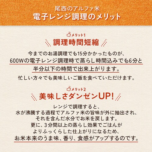  �y10�H�Z�b�g�z�����H�i �����̃A���t�@�� �����W�{�V���[�Y �����̂����͂� 80g 1031 �y�v���U�Z���N�g�z_3