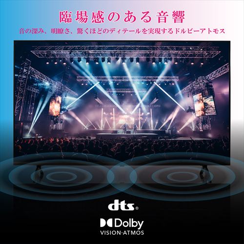 ネクシオン 液晶テレビ Google TV搭載 50型 4K FT-NK5060B 7275995