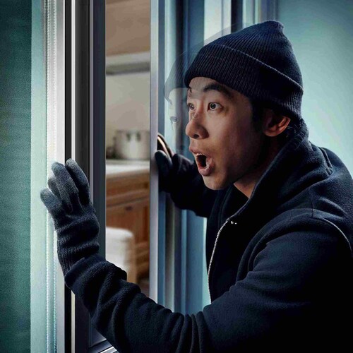 �h�ƃA���[�� �J�����m���� 2�Z�b�g IB-309 EDITION �h�ƃh�A�E���A���[�� �y������s�z_5