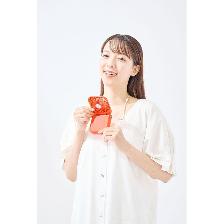 ハンディファン 冷却プレート 折りたたみ可能 ラドンナ Toffy HFN6