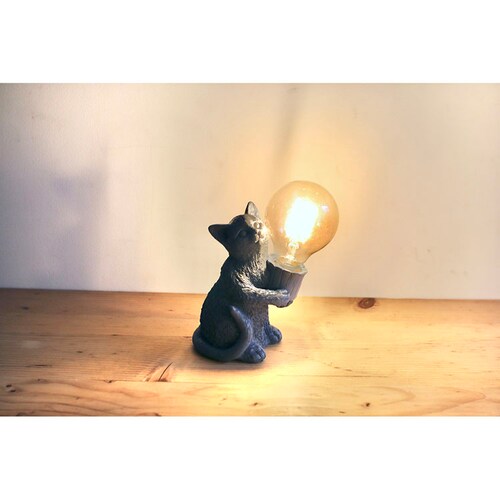 ��SOW �f�R�A�j�}�����C�g�@�L���b�g DRLG2002 _2