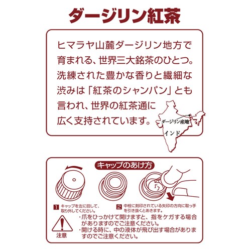 �y12�{�zUCC HOMER �g���A�[���O���C ���� 1000ml _6