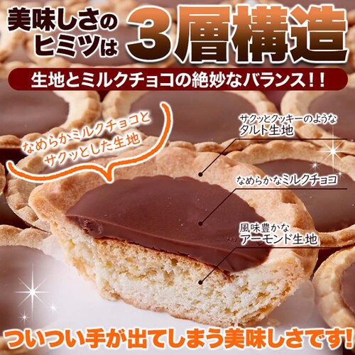 �y�����p�z �`���R�^���g 30�� � _5