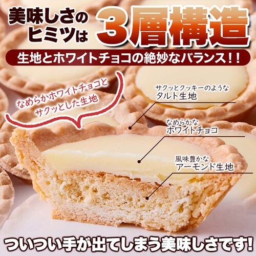 �y�����p�z �`���R�^���g 30�� � _11