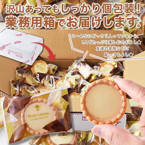 �y�����p�z �`���R�^���g 30�� � _12