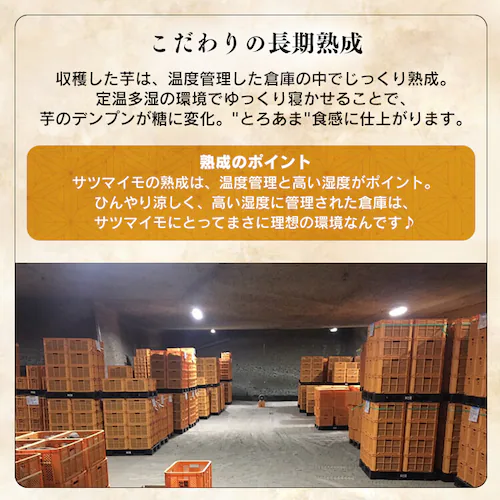 �s�� ���p���Y�g�͂邩������ 125g 2099 �y���p�z125g�y�v���U�Z���N�g�z�y������s�z_10