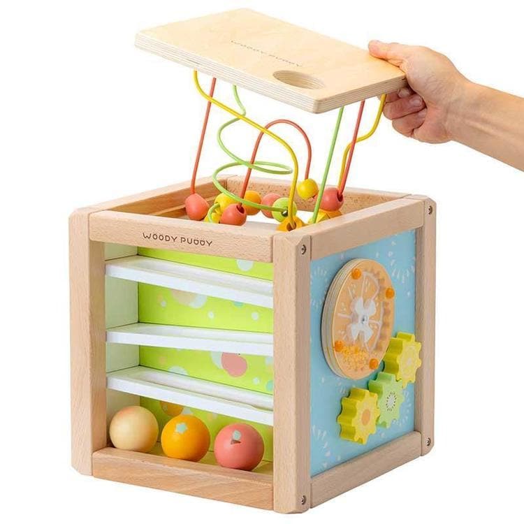 ウッディプッディ あそびたっぷり フルーツアクティビティボックス
