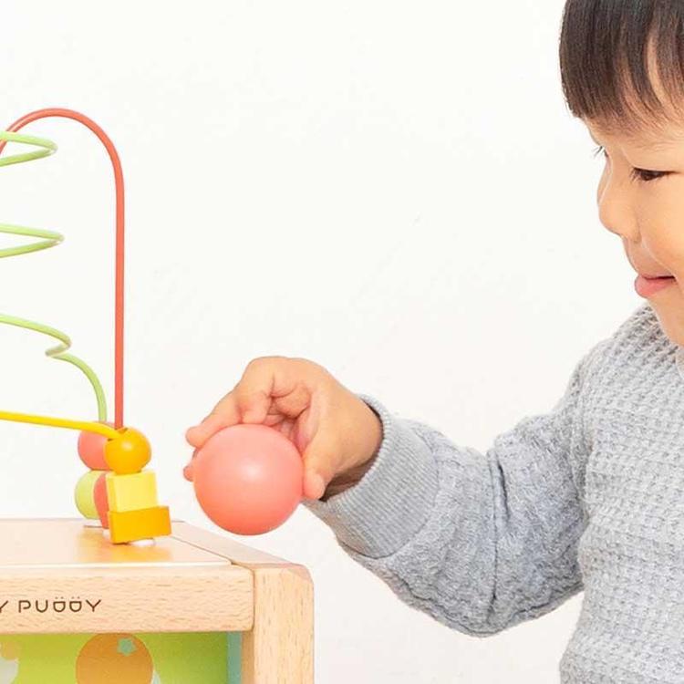 ウッディプッディ あそびたっぷり フルーツアクティビティボックス