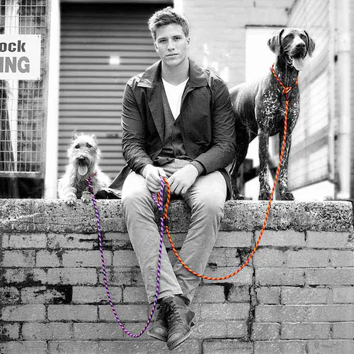 ���p ���[�h  ���J���[�h 9mm �p�[�v�� EZYDOG �C�[�W�[�h�b�O_3