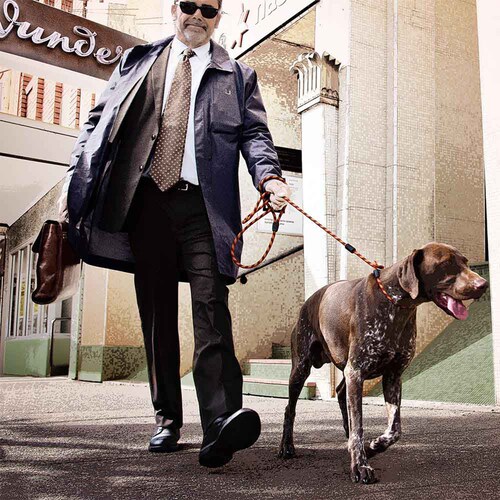 ���p ���[�h  ���J���[�h 9mm �p�[�v�� EZYDOG �C�[�W�[�h�b�O_5