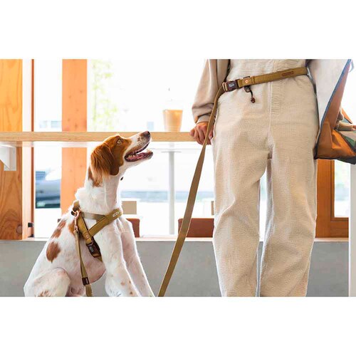 ���p ���[�h  ���[�h ���[�h�����i�[ �R�[�f�����C  EZYDOG �C�[�W�[�h�b�O_2