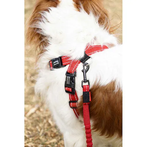 �� �n�[�l�X �n�[�l�X S �o�u���K�� EZYDOG �C�[�W�[�h�b�O_3