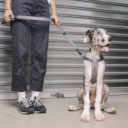 �� �n�[�l�X �n�[�l�X S �o�u���K�� EZYDOG �C�[�W�[�h�b�O_9