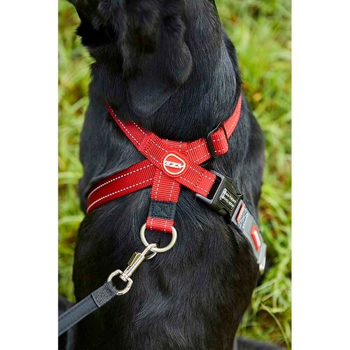 �� �n�[�l�X �N���X�`�F�b�N�n�[�l�X XS ���b�h EZYDOG �C�[�W�[�h�b�O_3