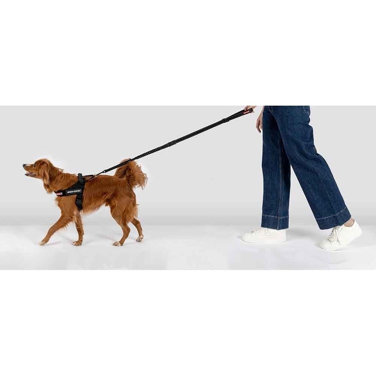 犬 ハーネス エクスプレスハーネス XS ブラック EZYDOG イージードッグ