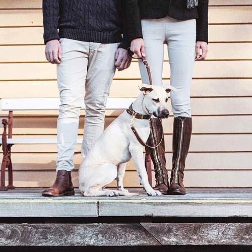 ���p ���[�h ���U�[���[�h 106cm �u���b�N EZYDOG �C�[�W�[�h�b�O_4