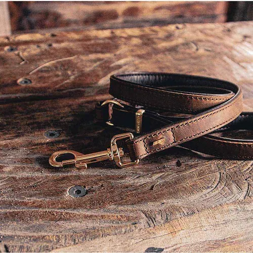 ���p ���[�h ���U�[���[�h 106cm �u���b�N EZYDOG �C�[�W�[�h�b�O_5