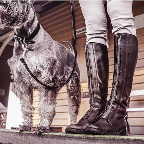 ���p ��� ���U�[�J���[ XXS �u���b�N EZYDOG �C�[�W�[�h�b�O_2