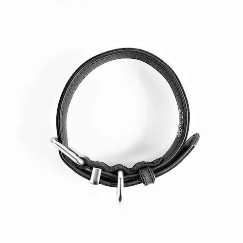 ���p ��� ���U�[�J���[ XXS �u���b�N EZYDOG �C�[�W�[�h�b�O_3