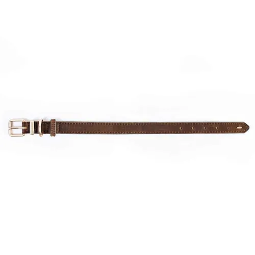 ���p ��� ���U�[�J���[ XXS �u���b�N EZYDOG �C�[�W�[�h�b�O_6